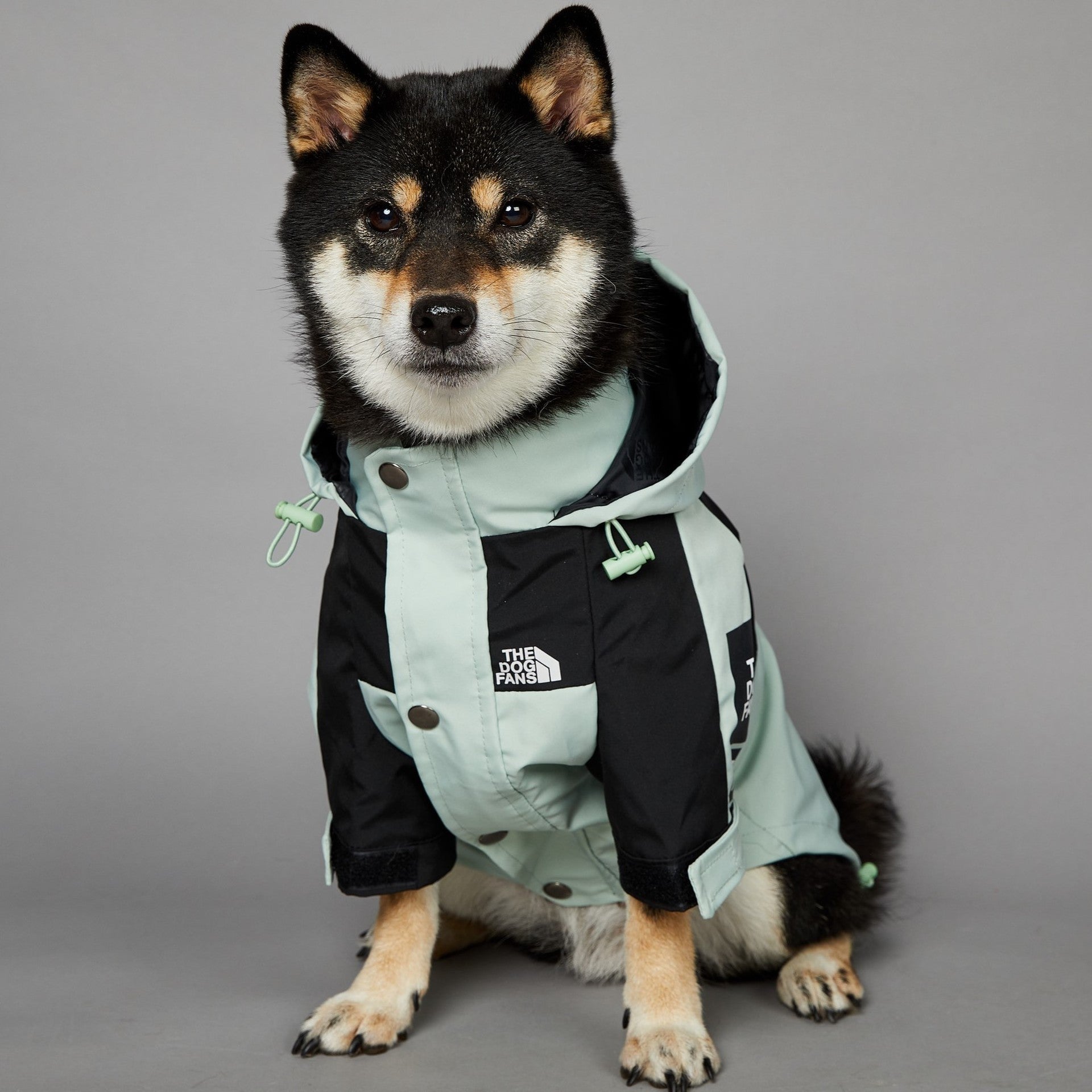 The Dog Fans Regenjacke in hellgrün
